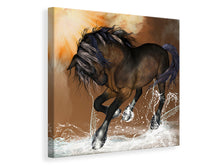 Load image into Gallery viewer, Canvas print Black Beauty