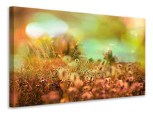 Load image into Gallery viewer, Canvas print Flower Meadow At Twilight