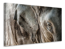 Load image into Gallery viewer, Canvas print Close Up Elephant