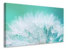 Load image into Gallery viewer, Canvas print Close Up Dandelion In Morning Dew