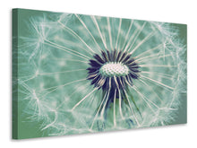 Load image into Gallery viewer, Canvas print Close Up Dandelion
