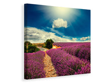 Load image into Gallery viewer, Canvas print The Lavender Valley