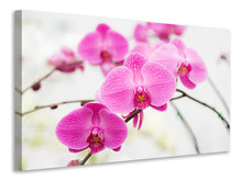 Load image into Gallery viewer, Canvas print The Symbol Of Orchid