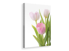 Load image into Gallery viewer, Canvas print The Tulips Trio