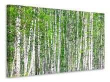 Load image into Gallery viewer, Canvas print The Birch Forest