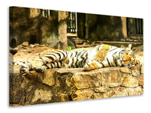 Load image into Gallery viewer, Canvas print The Siberian Tiger