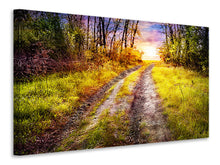 Load image into Gallery viewer, Canvas print The Forest Path