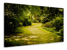 Load image into Gallery viewer, Canvas print Moss-Covered Path