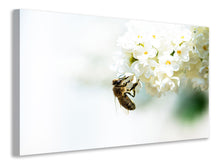 Load image into Gallery viewer, Canvas print The Bumblebee And The Flower