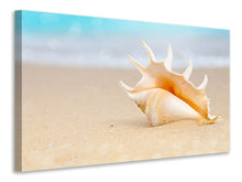Load image into Gallery viewer, Canvas print The Shell On The Beach
