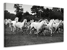 Load image into Gallery viewer, Canvas print The Mustang Herd