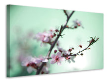 Load image into Gallery viewer, Canvas print Beautiful Japanese Cherry Blossom