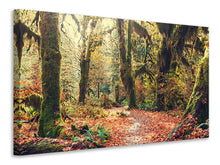 Load image into Gallery viewer, Canvas print Fairies Forest