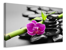 Load image into Gallery viewer, Canvas print Feng Shui Orchid