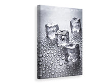 Load image into Gallery viewer, Canvas print Freshness Boost