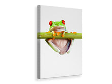 Load image into Gallery viewer, Canvas print Frog Acrobatics