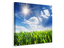 Load image into Gallery viewer, Canvas print Spring Grass