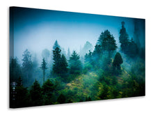 Load image into Gallery viewer, Canvas print Mysterious Forest