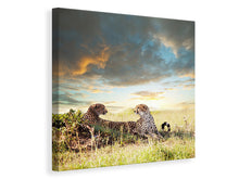 Load image into Gallery viewer, Canvas print Cheetahs