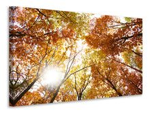 Load image into Gallery viewer, Canvas print Enlightened Autumn Trees