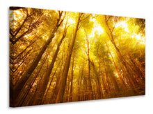 Load image into Gallery viewer, Canvas print Autumn Forest