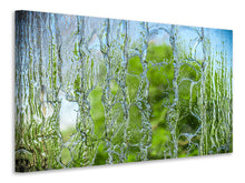 Load image into Gallery viewer, Canvas print Behind The Waterfall