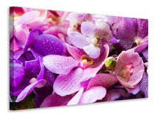 Load image into Gallery viewer, Canvas print Orchid Paradise