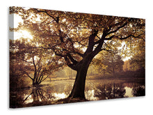 Load image into Gallery viewer, Canvas print Landscape Park
