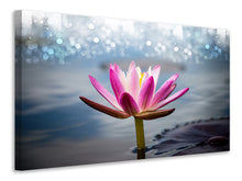 Load image into Gallery viewer, Canvas print Lotus In The Morning Dew