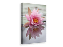 Load image into Gallery viewer, Canvas print Lotus
