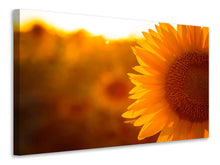 Load image into Gallery viewer, Canvas print Macro Sunflower