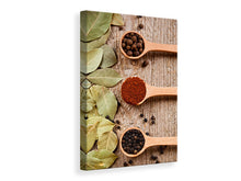 Load image into Gallery viewer, Canvas print Peppercorns