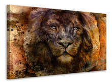 Load image into Gallery viewer, Canvas print Portrait Of A Lion
