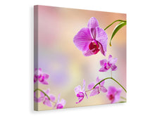 Load image into Gallery viewer, Canvas print Romantic Orchids