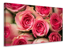 Load image into Gallery viewer, Canvas print Rose Love