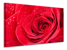 Load image into Gallery viewer, Canvas print Red Rose In Morning Dew