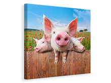 Load image into Gallery viewer, Canvas print Pig In Luck