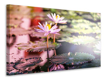 Load image into Gallery viewer, Canvas print Lilies In Pond
