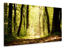 Load image into Gallery viewer, Canvas print Sunrise In The Forest