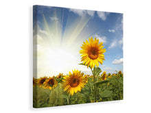 Load image into Gallery viewer, Canvas print Sunflower In Sunlight