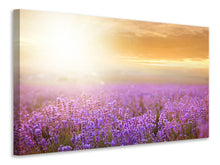 Load image into Gallery viewer, Canvas print Sunset In Lavender Field