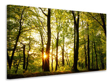 Load image into Gallery viewer, Canvas print Sunset Between Trees