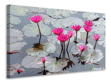 Load image into Gallery viewer, Canvas print Jump In The Lily Pond