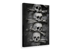 Load image into Gallery viewer, Canvas print Skulls