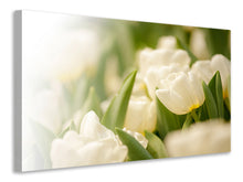 Load image into Gallery viewer, Canvas print Tulips Perspective