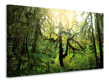 Load image into Gallery viewer, Canvas print Dreamy Forest