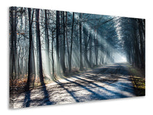Load image into Gallery viewer, Canvas print Forest In The Light Beam