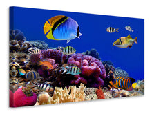 Load image into Gallery viewer, Canvas print World Of Fish
