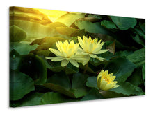 Load image into Gallery viewer, Canvas print Wild Lotus