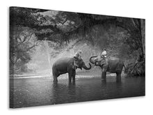 Load image into Gallery viewer, Canvas print Two Elephants